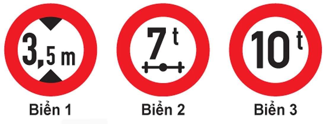 Hình minh họa câu 339
