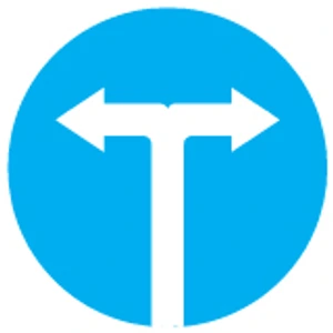 Hướng đi phải theo